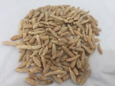 半精品特級(jí)